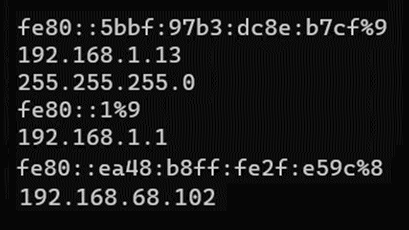 Screenshot of a computer readout showing IP addresses
